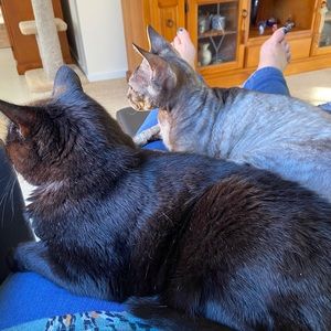 Meet your Posher, Jane